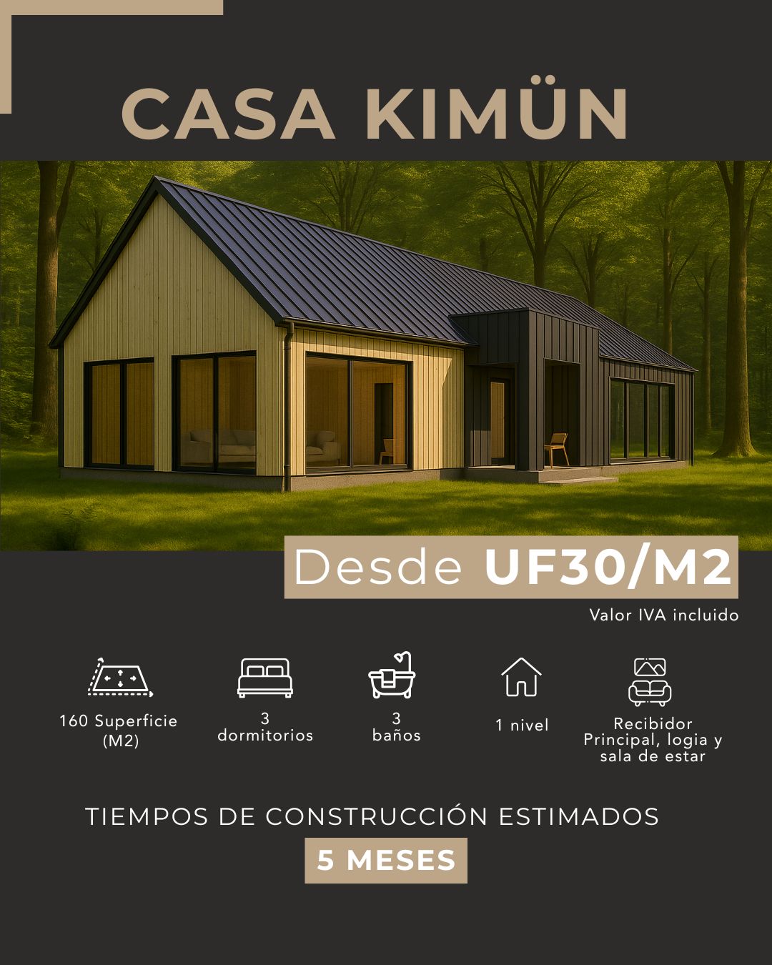Constructora en Pucón