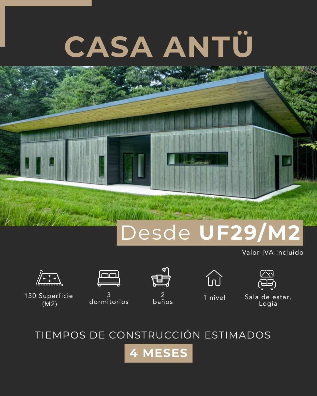Constructora en Pucón - Villarrica